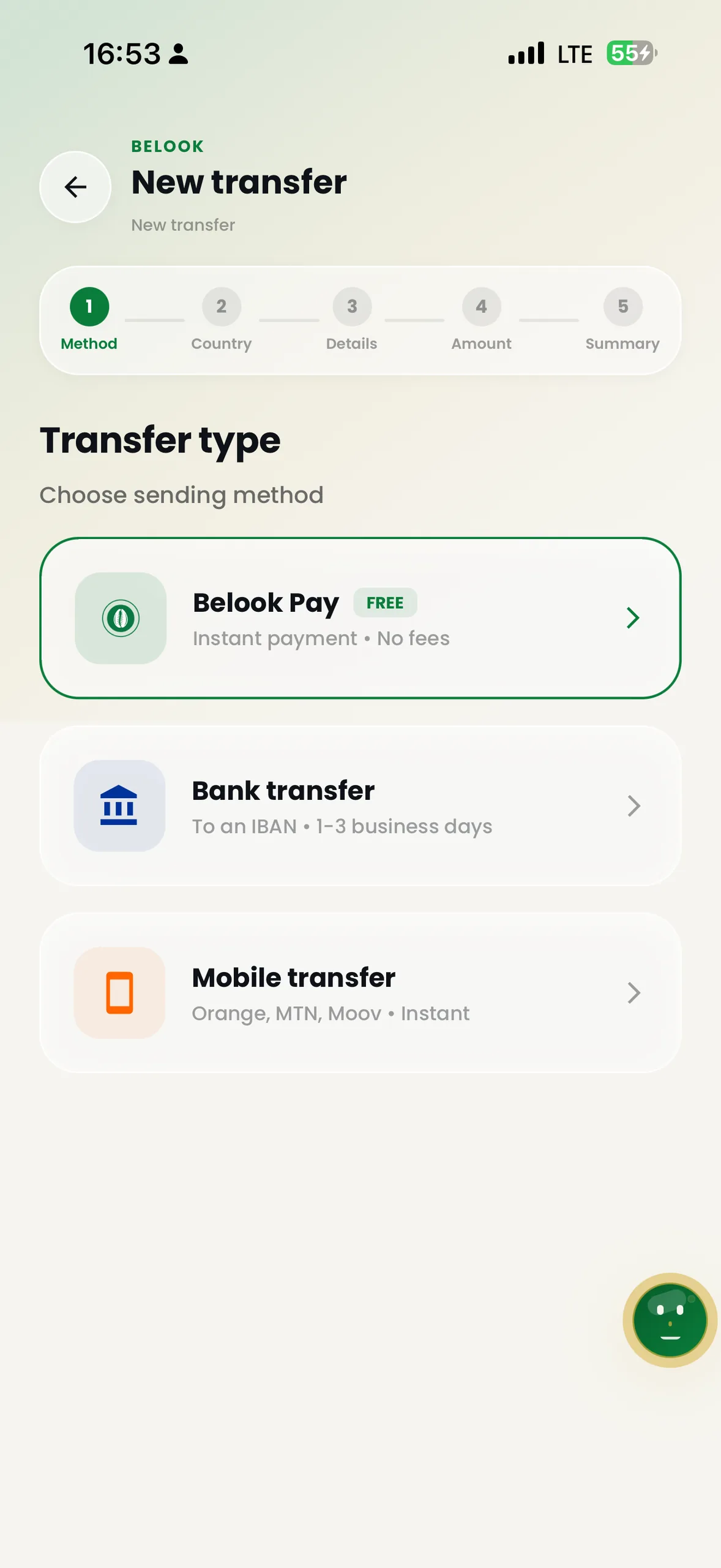 Belook Transfers